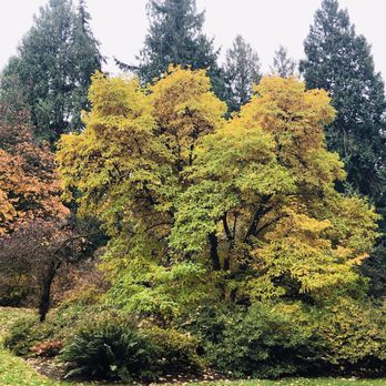 Washington Park Arboretum - Parks Near Me - Seattle, Washington Washington Park Arboretum - Parks Near Me - Seattle, Washington