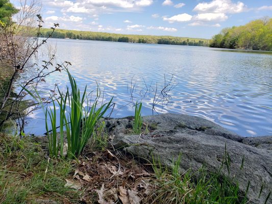 NATURE CONSERVANCY - DEVIL’S DEN PRESERVE - 63 Photos & 12 Reviews - 33 ...