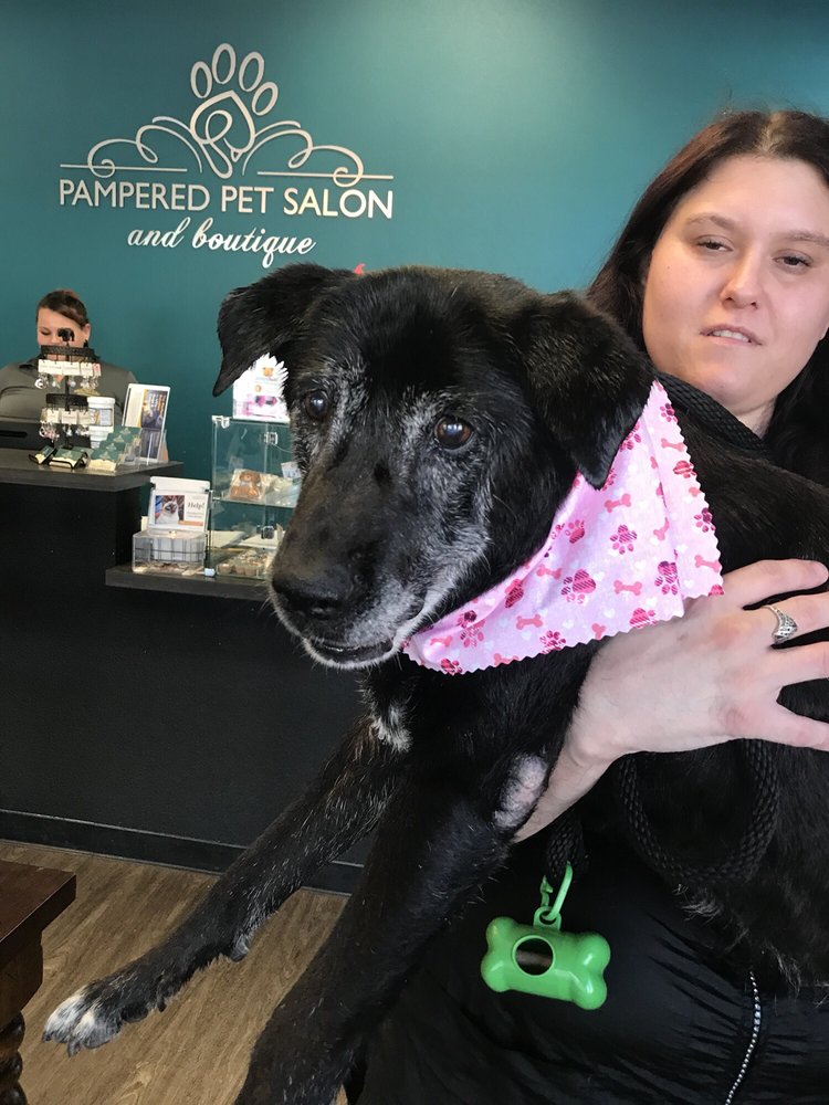 pampered pet salon and boutique
