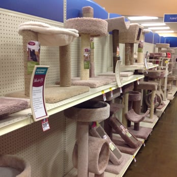 PetSmart - Cats need 'upspace' - Pet Stores Near Me - Dublin, California