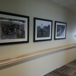 Anysize Art And Plants