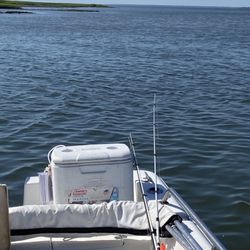Beaufort Coastal Adventures