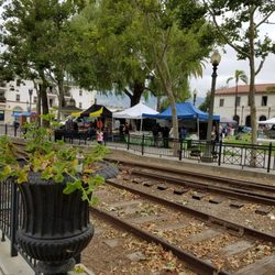 California Honey Harvest Festival - Some of the booths.