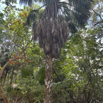 John D. MacArthur Beach State Park - Parks Near Me - Palm Beach, Florida