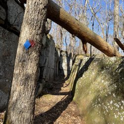 Tishomingo State Park - Flat Rock Trail