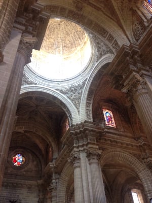 Catedral de Jerez de la Frontera / Colegiata de Nuestro Señor San Salvador by null