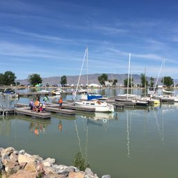 Marina Marina