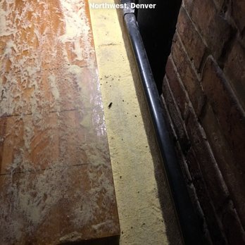 Tarantula Billiards - Mouse droppings! - Pool Halls Near Me - Denver, Colorado