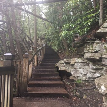 Swallow Falls State Park - Stairway leading down to the low end of Swallow Falls - Parks Near Me - Oakland, Maryland