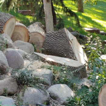 Vinny's Tree Service - They were big! - Tree Services Near Me - Omaha, Nebraska