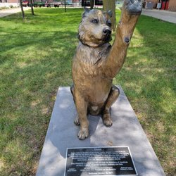 Northern Illinois University College Of Law