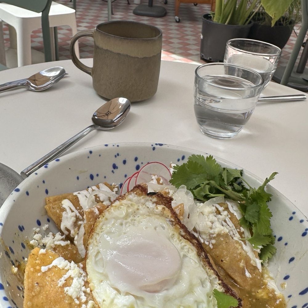 Tal Palo - Chilaquiles verdes con huevo - Cafes Near Me - Los Altos, California Tal Palo - Chilaquiles verdes con huevo - Cafes Near Me - Los Altos, California