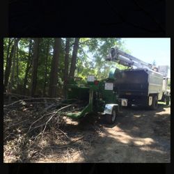 Cutting Edge Tree Service