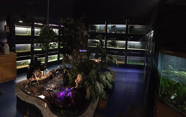 Critters & Co Pet Center& Rescue