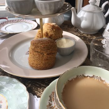 Kitten and the Bear - Coffee & Tea Near Me - Toronto, Ontario Kitten and the Bear - Coffee & Tea Near Me - Toronto, Ontario