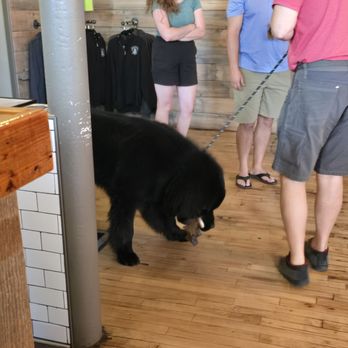 Black Paws Brewing - Breweries Near Me - Devils Lake, North Dakota Black Paws Brewing - Breweries Near Me - Devils Lake, North Dakota