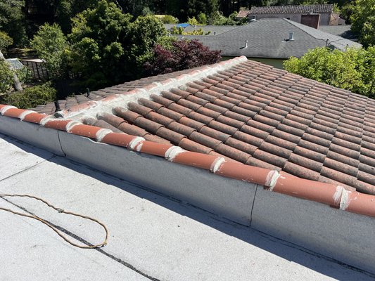 Pinnacle Roofing Professionals Logo