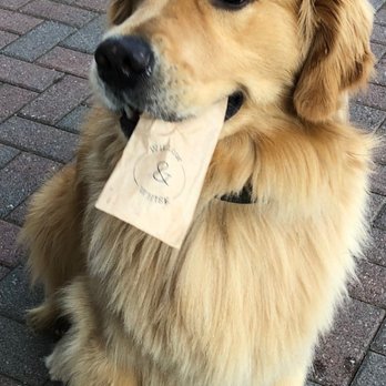 Willow & Whisk - Dog friendly! - Breakfast & Brunch Near Me - Wyckoff, New Jersey Willow & Whisk - Dog friendly! - Breakfast & Brunch Near Me - Wyckoff, New Jersey
