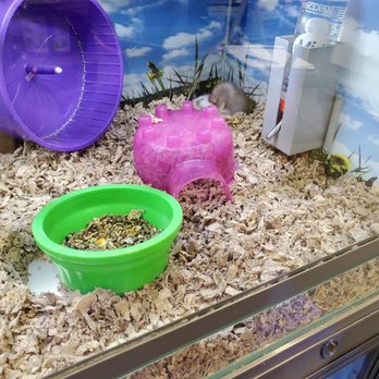 Pet Supplies Plus Winter Park - Pet Groomers Near Me - Winter Park, Florida