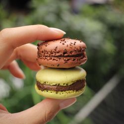 La Maison du Chocolat - chocolate macaron & pistachio macaron