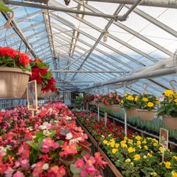 Willson's Flower & Garden Center - Beautiful flowers for your home and garden.