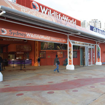 Sydney Wildlife World - Zoos Near Me - Darling Harbour, NSW