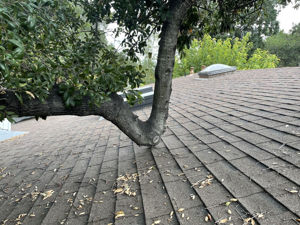 Slide of Everest Roofing