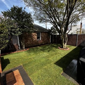 ZCanales Landscaping - a backyard with a tree and a grill - Landscaping Near Me ZCanales Landscaping - a backyard with a tree and a grill - Landscaping Near Me