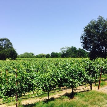 Gracianna Winery - Wine Tasting Room Near Me - Healdsburg, California Gracianna Winery - Wine Tasting Room Near Me - Healdsburg, California