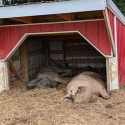 Paulus Farm Market