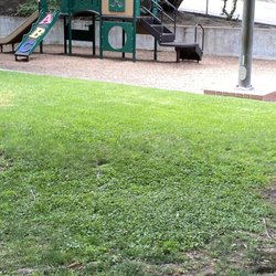 Glenhaven Park - Benches and safety fences along streets