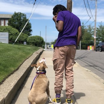 Paws on Dirt - Heel training - Dog Walkers Near Me Paws on Dirt - Heel training - Dog Walkers Near Me