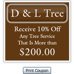 D & L Tree