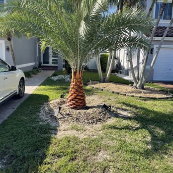 Sunkissed Lawn Care Services - Palm Installation - Lawn Services Near Me Sunkissed Lawn Care Services - Palm Installation - Lawn Services Near Me