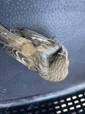 Wetlands & Wildlife Care Center by null