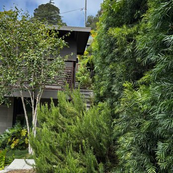 Timberline Tree Care - Tree Services Near Me Timberline Tree Care - Tree Services Near Me