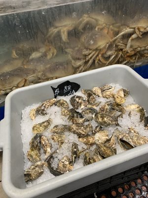 Irving Seafood Market by null