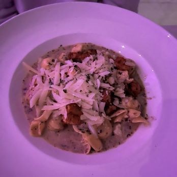 Olivia Restaurant & Rooftop - Truffle Cream Pasta - Italian Near Me - Hollywood, Florida Olivia Restaurant & Rooftop - Truffle Cream Pasta - Italian Near Me - Hollywood, Florida