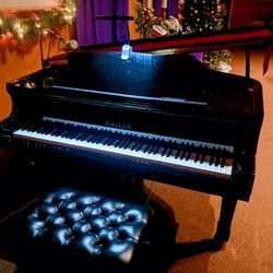 Pittsburgh Piano Doctor - Hailun 2