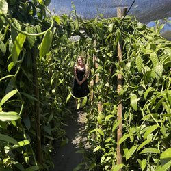 Laie Vanilla Company - Great place for photos!