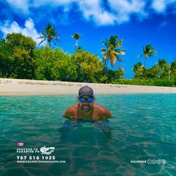 Escape to Paradise PR - Palomino