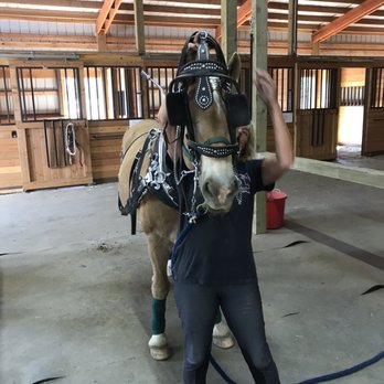 Three Rivers Equestrian Center - Getting the horses ready in their beautiful gear! - Horseback Riding Near Me - Bend, Oregon