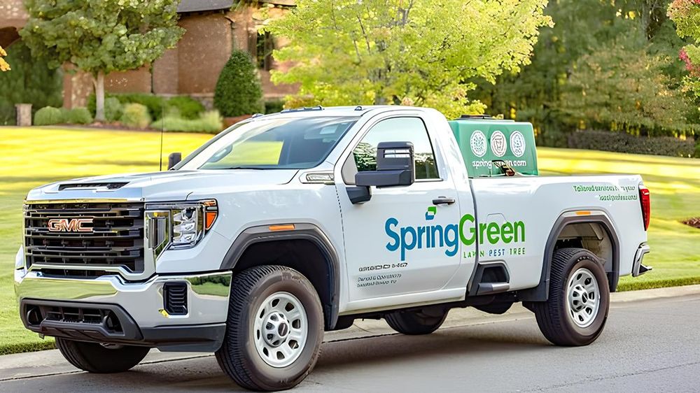 SpringGreen - tree service in Greer, SC