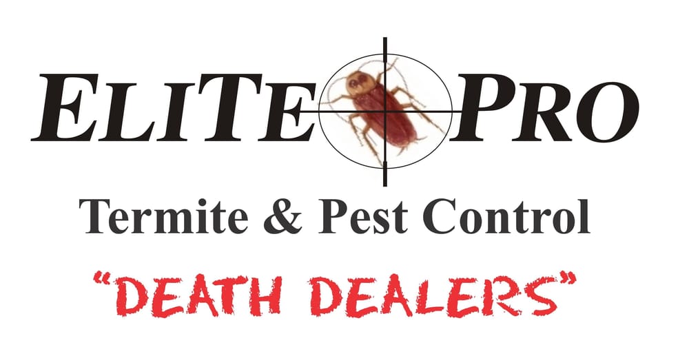 ELITE PRO TERMITE & PEST CONTROL Updated July 2024 Brownsville