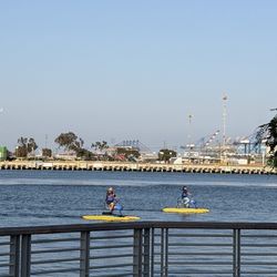 Harbour Breeze - We had a family member wait in line at the Fish Market while we rented one so much fun