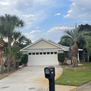Bee Green Landscaping LLC - Palm trees trimmed and cleaned up. - Lawn Services Near Me Bee Green Landscaping LLC - Palm trees trimmed and cleaned up. - Lawn Services Near Me