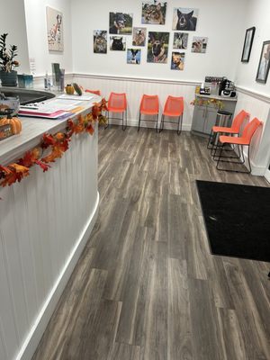 BAY BEACH VETERINARY EMERGENCY HOSPITAL - Updated March 2026 - 24