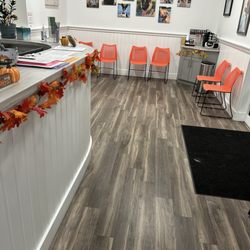 Bay Beach Veterinary Emergency Hospital
