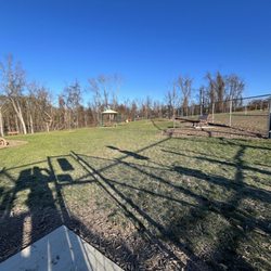 The Black Dog Wine Company Dog Park At Moon Park