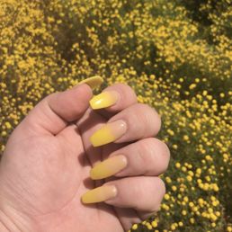 Sunflower vibes
